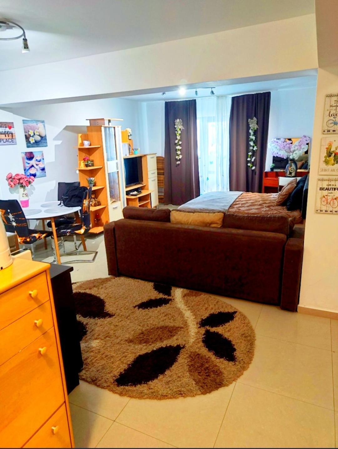 브라쇼브 Studioul De Vis 아파트 외부 사진